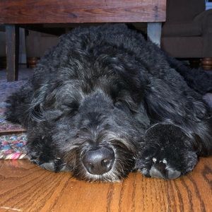 Meet your Posher, Cari